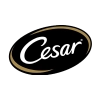 Cesar
