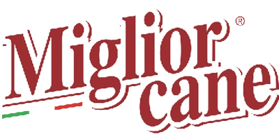 Miglior Cane