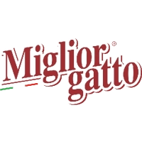 Miglior Gatto