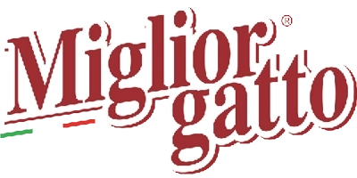 Miglior Gatto