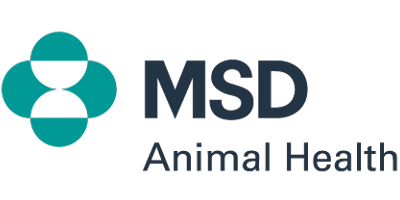 MSD