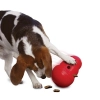Kong Wobbler per Cani - 3
