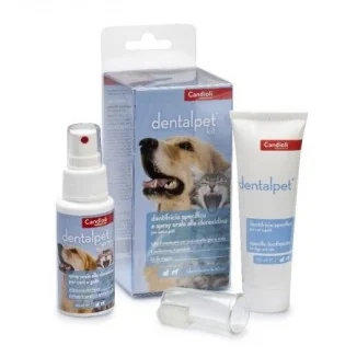 Candioli Dentalpet kit
