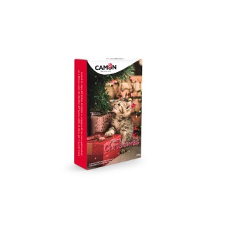 Camon Calendario dell'Avvento per Gatti