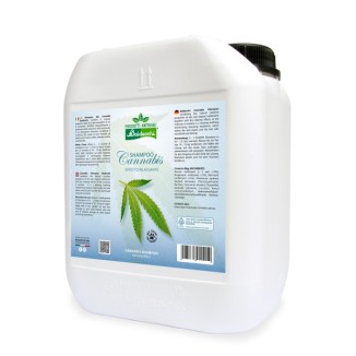 Baldecchi Shampoo alla Cannabis