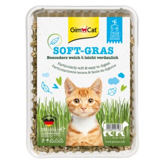 Gimborn GimCat Soft-Gras Erba per Gatti