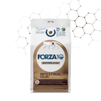 Forza 10 Active Vet Diet Intestinal Colon Gatto al Pesce