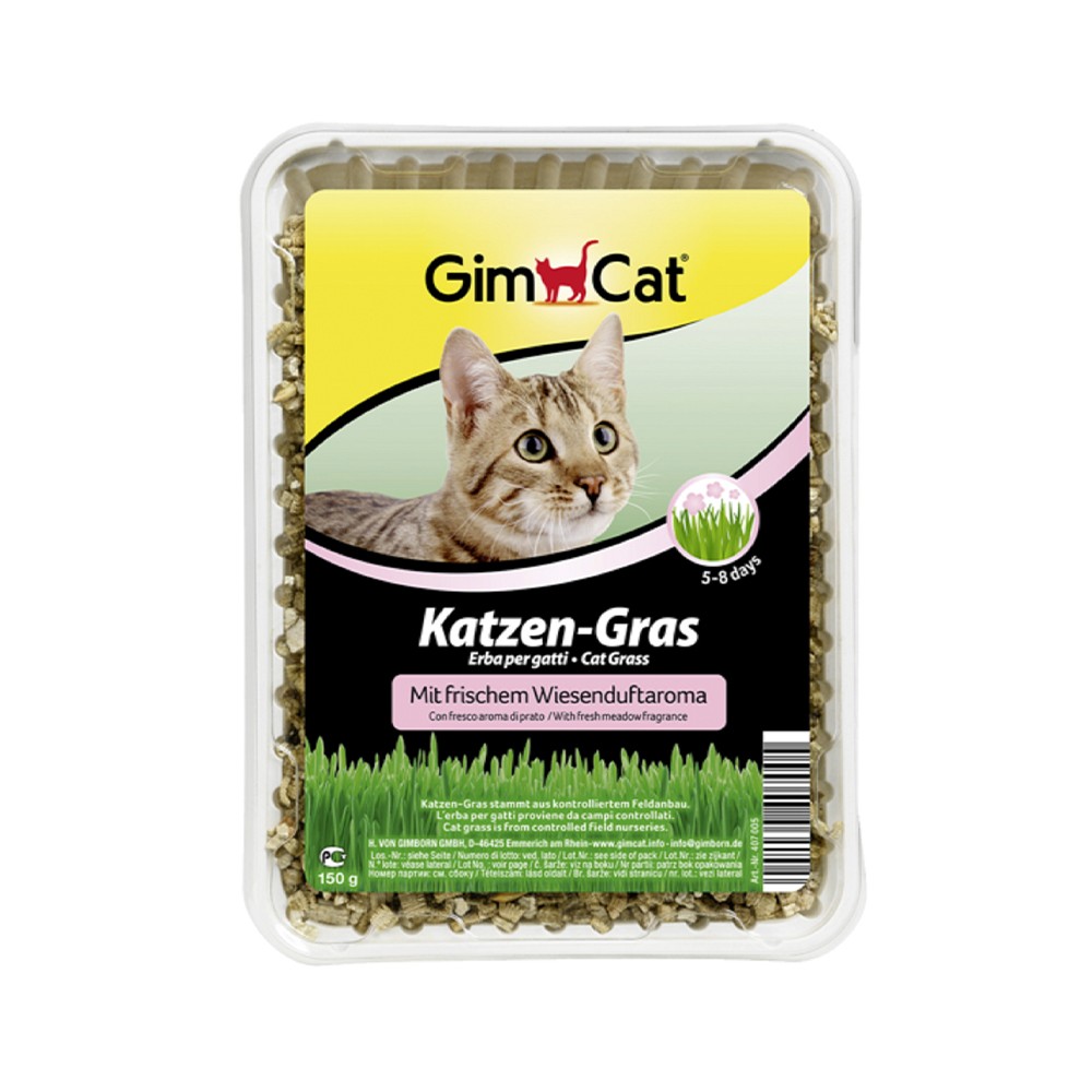 Gimborn GimCat Erba Gatto in Vaschetta