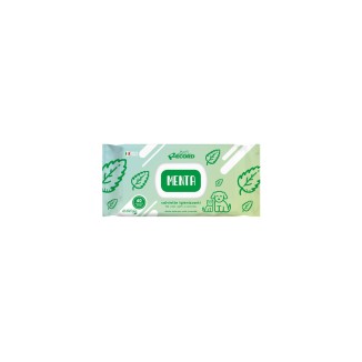 Record Salviette Igienizzanti Maxi alla Menta