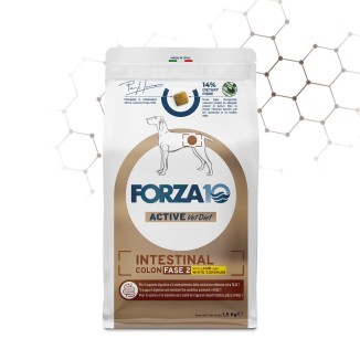 Forza10 Intestinal Colon Fase II per Cani all'Agnello e Sorgo Bianco