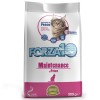 Forza 10 Maintenance al Pesce - 1
