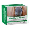 NBF Vet Ribes Horse Respiro - 1