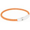 Trixie Anello Flash Usb - 2