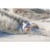 Trixie Be Nordic Foca Thies in Peluche - 3