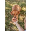 Trixie Dentafun Marbled Ring al Manzo - 3