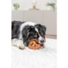 Trixie Dentafun Pretzel all'Anatra - 2