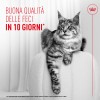 Royal Canin Digestive Care Airlift Mousse in Lattina - 3