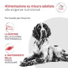Royal Canin Glycobalance al Pollo - 2