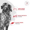 Royal Canin Glycobalance al Pollo - 3