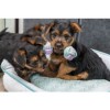 Trixie Junior Bilanciere in Corda - 3