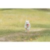 Trixie Palla Animale con Espositore - 2