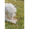Trixie Bullduck con Pelle di Bovino e Anatra - 3