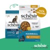 Schesir Animal Monoprotein Formula Hairball al Pollo - 2