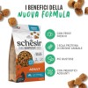 Schesir Animal Monoprotein Formula al Pesce - 3