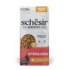 Schesir Animal Monoprotein Formula al Pollo - 2