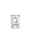 Royal Canin Glycobalance Low Carbohydrate Loaf in Lattina - 1