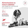 Royal Canin Glycobalance Low Carbohydrate Loaf in Lattina - 2