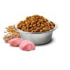 Farmina N&D Ancestral Grain Puppy Medium/Maxi al Pollo e Melograno - 3