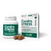 Innovet Condrostress Mobility - 1