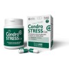 Innovet Condrostress Mobility - 2