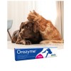 Ecuphar Orozyme Oral Hygiene Gel - 3