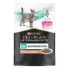 Purina Pro Plan Veterinary Diets EN Gastrointestinal al Salmone in Bustina - 2