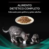 Purina Pro Plan Veterinary Diets EN Gastrointestinal al Salmone in Bustina - 3