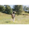 Trixie Palla con Corda in Gomma Naturale - 2