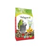 Vadigran Tropical Parrots - 3