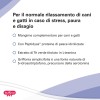 Buonapet Calmina - 3
