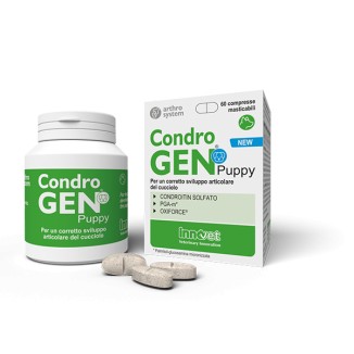 Innovet Condrogen Puppy