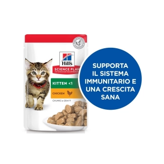 Hill's Science Plan feline Kitten bocconcini al pollo