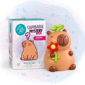Leopet Capibara Mystery Box in Lattice