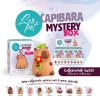 Leopet Capibara Mystery Box in Lattice - 3