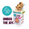 Leopet Capibara Mystery Box in Lattice - 4