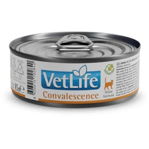 Farmina Vet Life Convalescence Feline Umido
