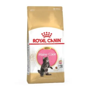 Royal Canin Kitten Maine Coon 36