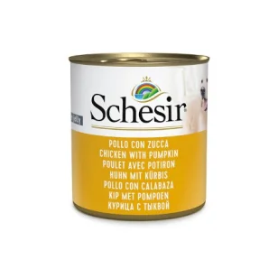 Schesir in gelatina (pollo e zucca)