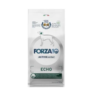 Forza 10 Echo active