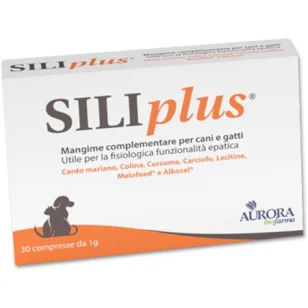 Aurora Biofarma Siliplus Compresse